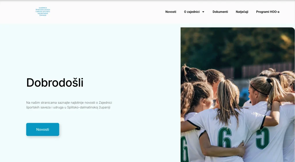 izrada web stranice vizija x zšsusdž